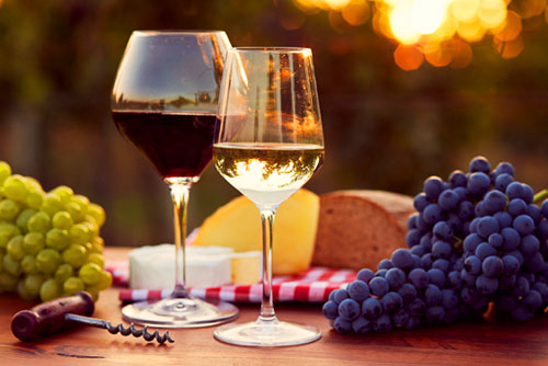 Special Interest Tour